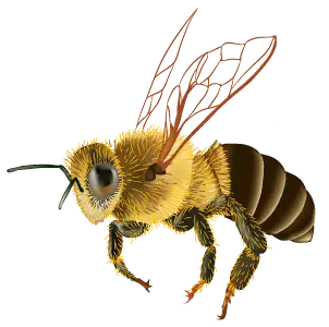 how to prevent bee stings