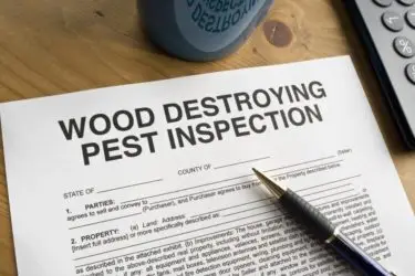 termite inspection report arizona