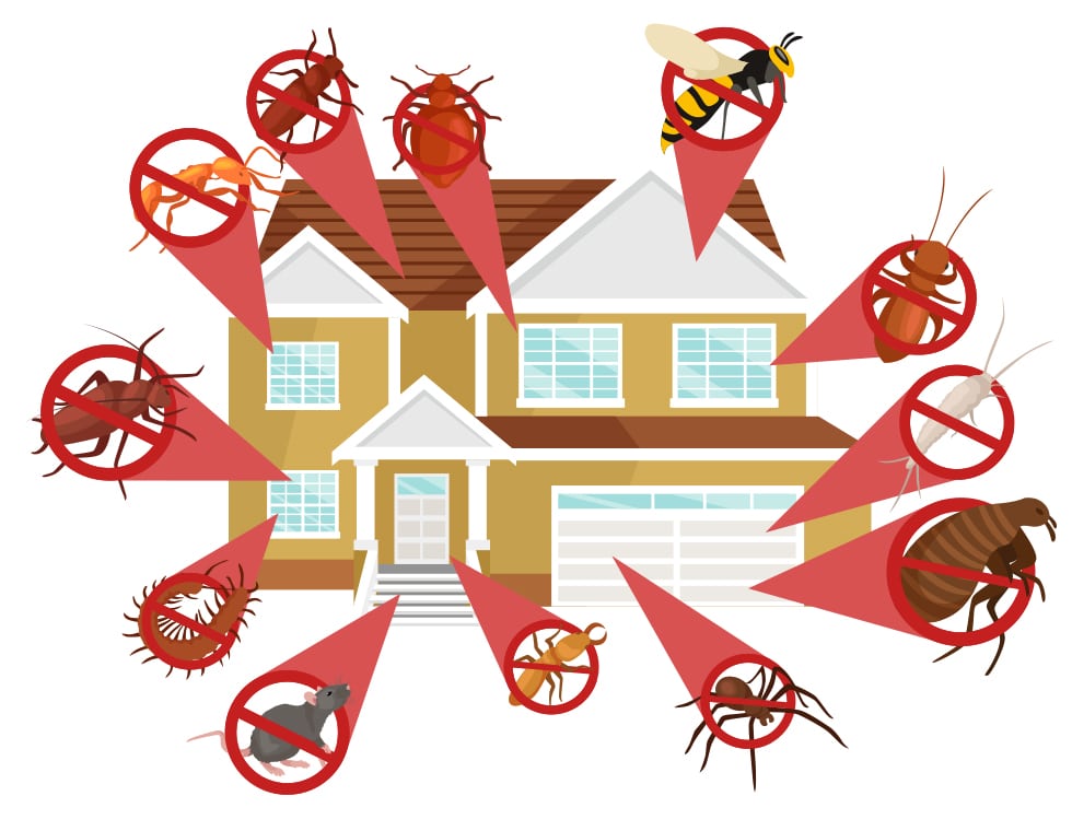 Yellow house surrounded by crossed-out signs pointing to various pests like insects, rodents, and bugs.