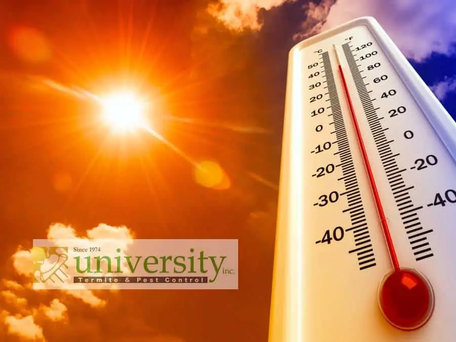 Thermometer showing high temperature against a bright sun and partly cloudy sky, with "University Termite & Pest Control" logo.