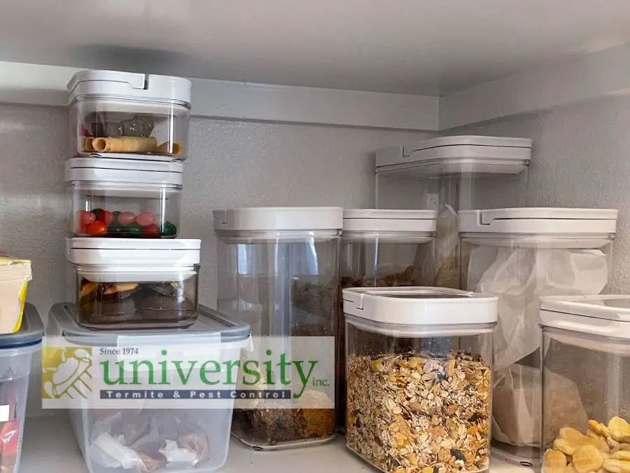 Clear containers with white lids, filled with various food items including candy, cookies, and cereal, stacked neatly in a pantry.