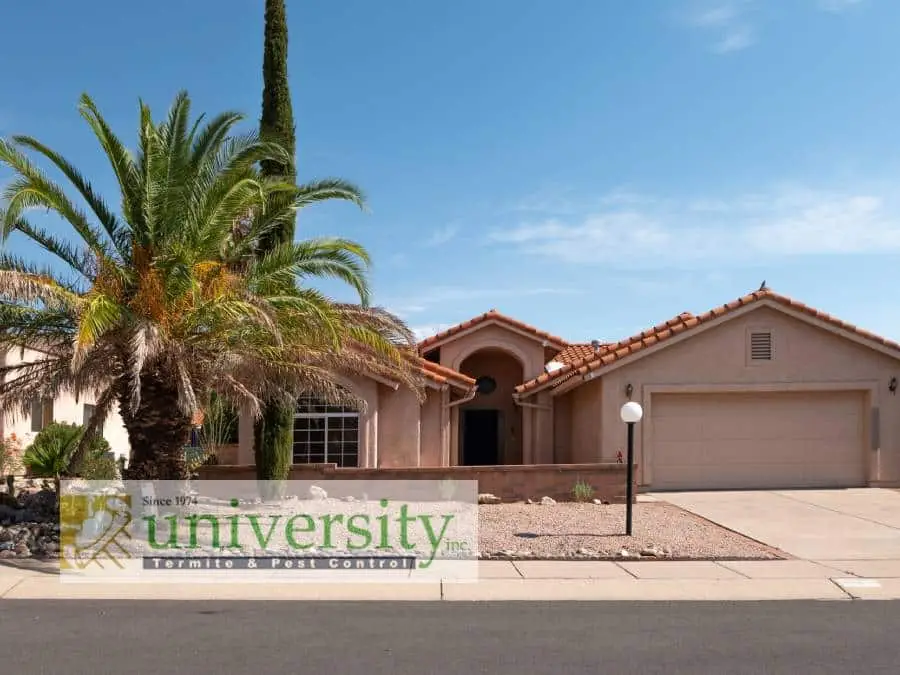 A suburban home with a palm tree in front, featuring a University Termite & Pest Control banner overlay.