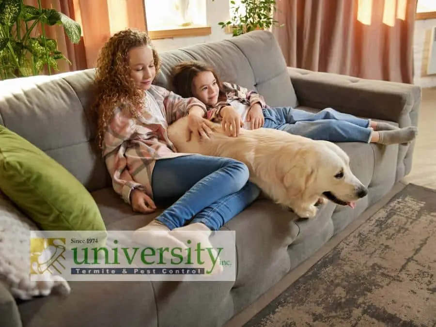 Two girls and a dog relaxing on a sofa in a cozy living room with sunlight. University Termite & Pest Control logo is in view.