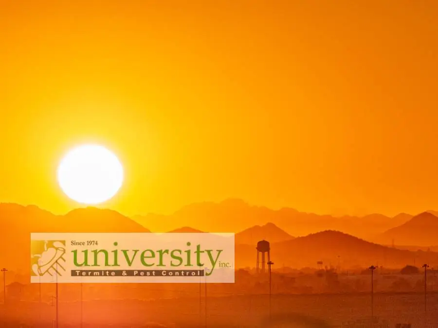 Sunset over desert mountains with an orange sky, featuring a prominent sun. University Termite & Pest Control logo overlay.