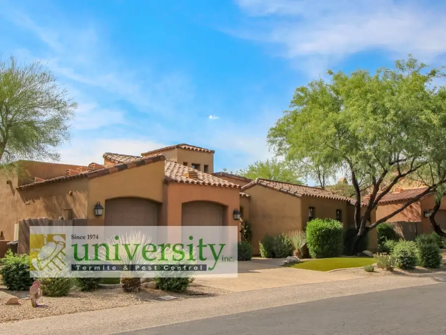 A tan stucco house with tile roof, desert landscaping, and a sign in the foreground reading "University Termite & Pest Control.