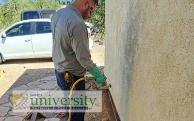 Three Basic Types of Pest Control