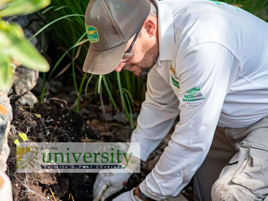 A person wearing protective glasses and a hat is working in a garden, handling soil or mulch. They are dressed in a white shirt with logos, possibly for a pest control company specializing in termite treatment. The backdrop includes plants. The image includes the text "University Termite & Pest Control.