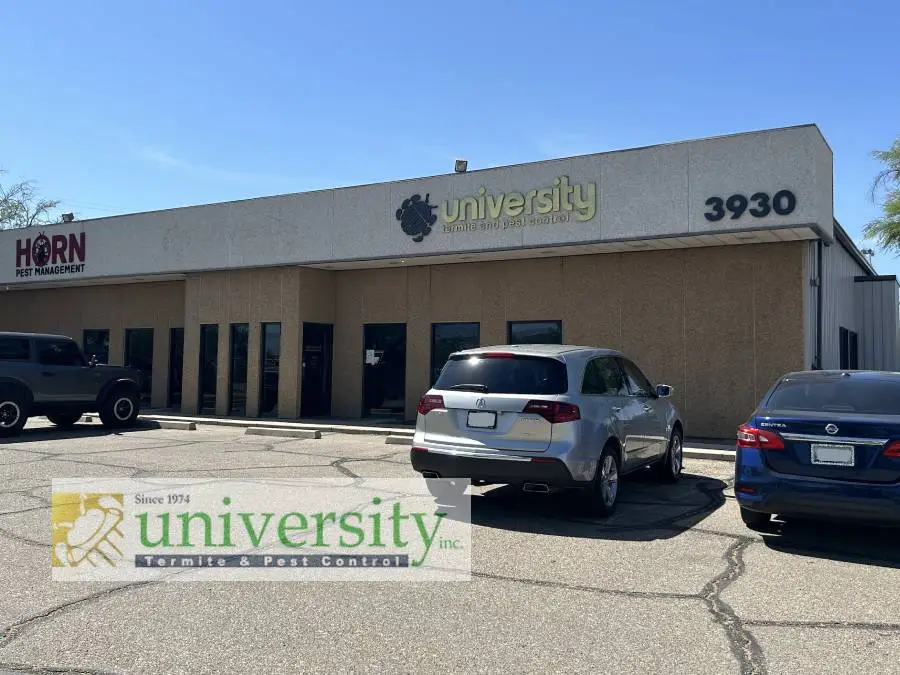 A commercial building houses "University Termite & Pest Control," with a sign featuring their logo. A Horn Pest Management sign is visible on the left side. Three cars are parked in front, and the sun casts shadows on the parking lot. When choosing a pest control company, visit them at 3930.