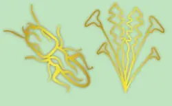 An artistic image showing various organic shapes and patterns in shades of yellow and green against a light green background.