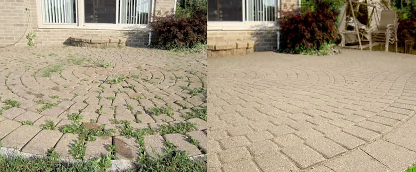 A paved walkway or patio with a textured, brick-like pattern in an outdoor setting with plants and greenery surrounding the area.