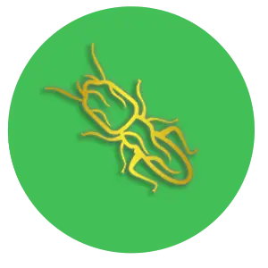 A yellow, abstract shape resembling a beetle or insect on a green background